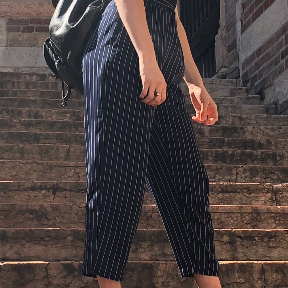 Aritzia Modesto Pant in Navy